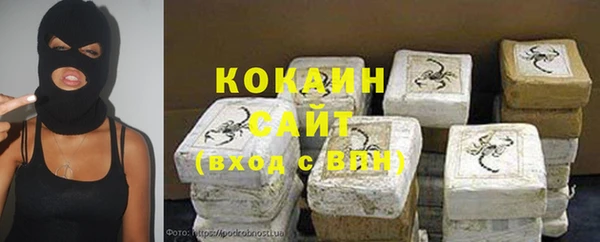 бошки Новодвинск