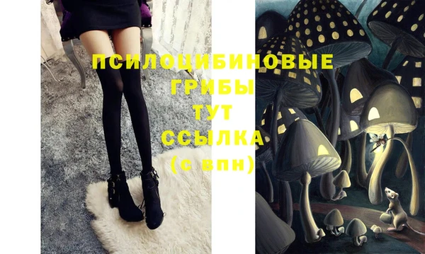бутират Новозыбков