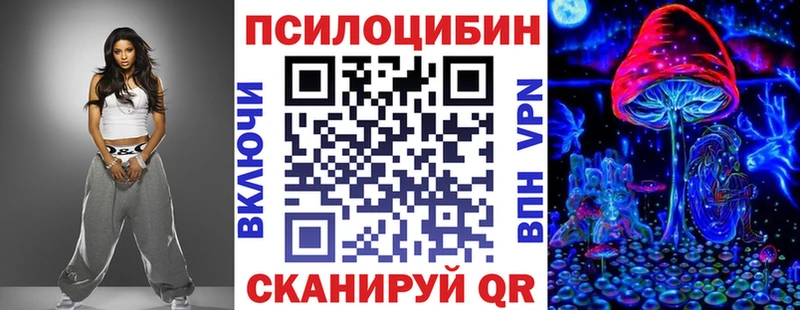 MEGA   Кудрово  Галлюциногенные грибы мицелий 