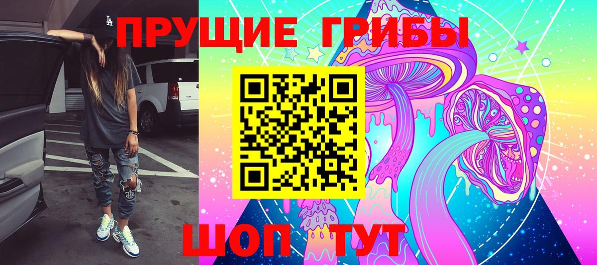 Псилоцибиновые грибы Psilocybe Кудрово