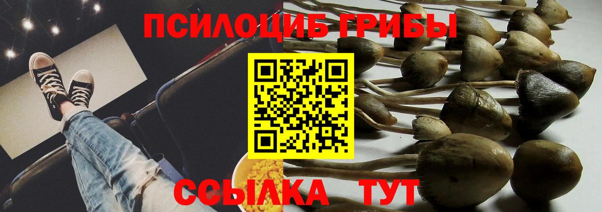 Галлюциногенные грибы ЛСД  Вход с VPN  Галлюциногенные грибы мицелий  Кудрово 